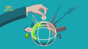 Luật sư tư vấn đầu tư