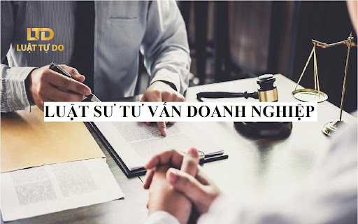 luật sư tư vấn hợp đồng