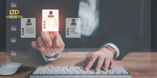 luật sư tư vấn doanh nghiệp