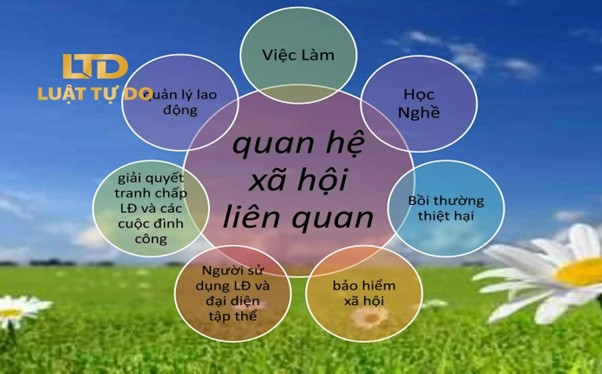 Luật sư tư vấn lao động