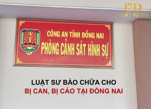 Luật Sư Hình Sự Đồng Nai