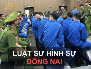 Luật Sư Hình Sự đồng Nai
