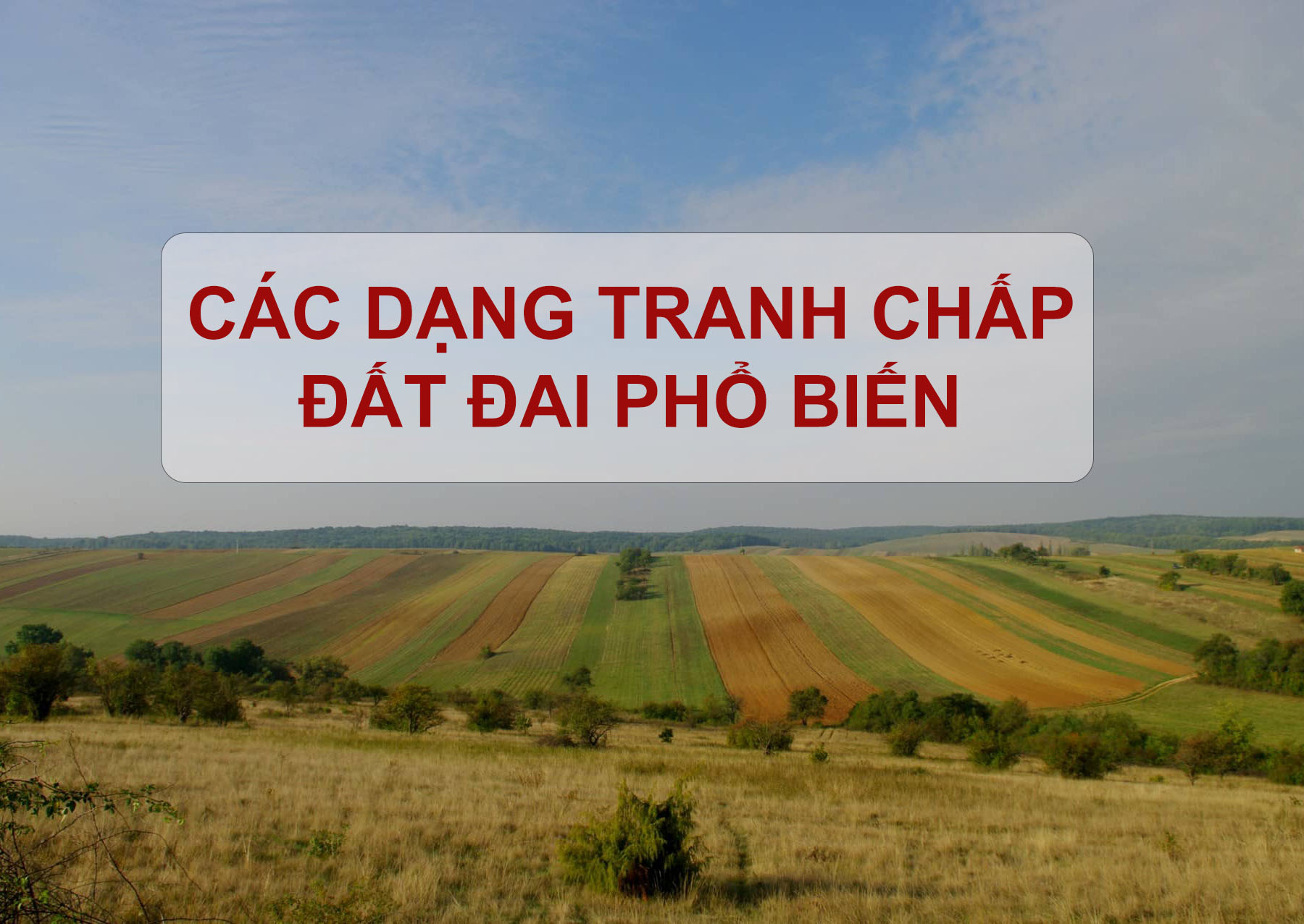Các dạng tranh chấp đất đai phổ biến