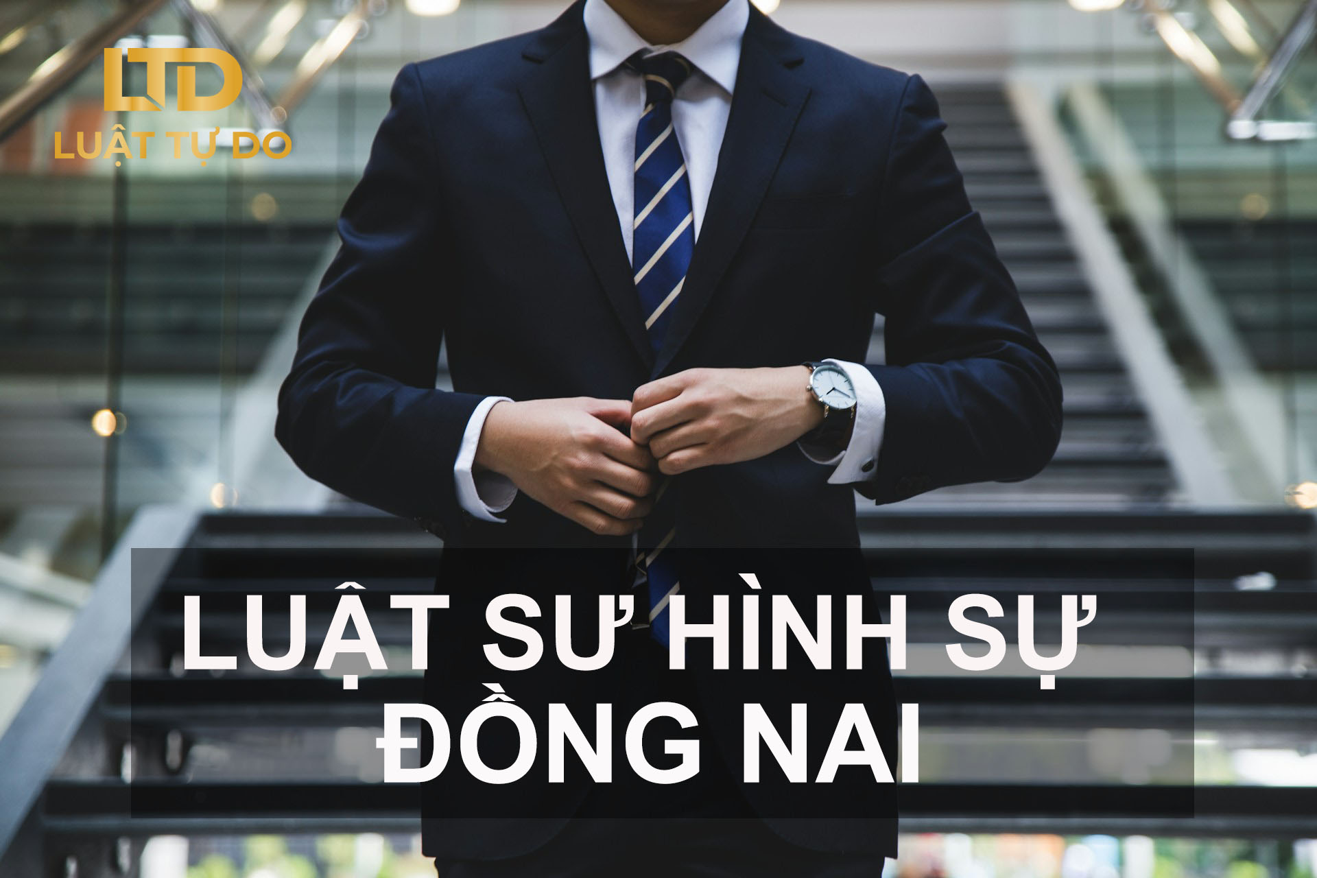 Luật Sư Hình Sự Tại Đồng Nai 