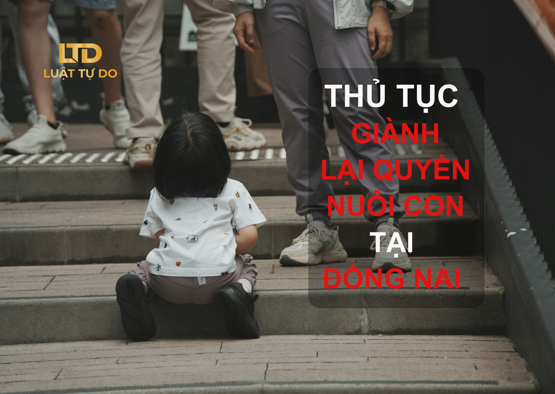 Thủ tục giành lại quyền nuôi con tại Đồng Nai