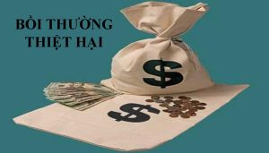 bồi thường thiệt hại ngoài hợp đồng dân sự