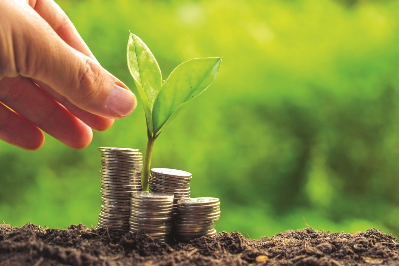 Thuế và thương mại Việt Nam