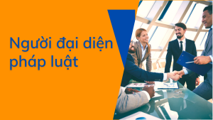 Người đại diện theo pháp luật trong vụ án dân sự