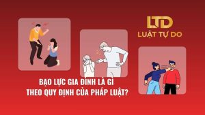 Bạo Lực Gia đình Là Gì Theo Quy định Của Pháp Luật