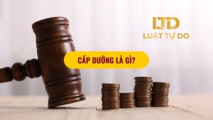 Cấp Dưỡng Là Gì