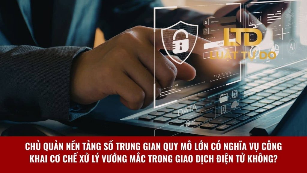 Chủ quản nền tảng số trung gian quy mô lớn có nghĩa vụ công khai cơ chế xử lý vướng mắc trong giao dịch điện tử không?