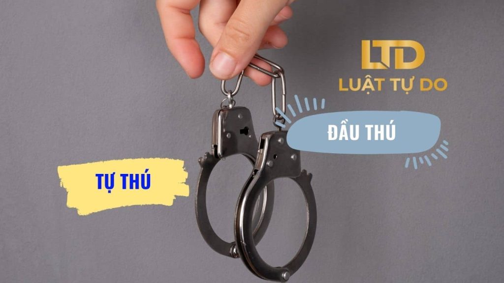 Phân biệt giữa tự thú và đầu thú