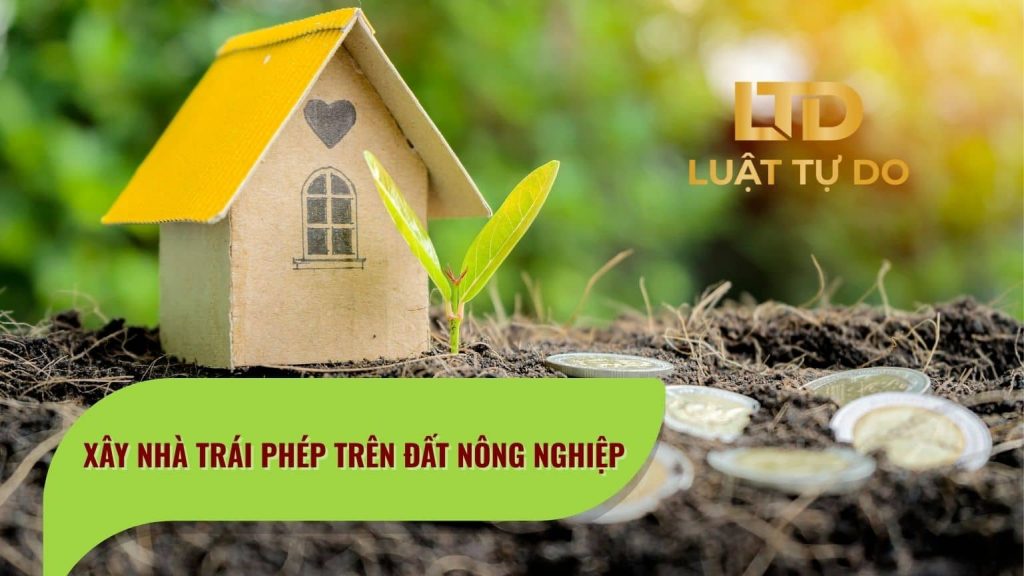 Xây Nhà Trái Phép Trên đất Nông Nghiệp Bị Xử Lý Như Thế Nào