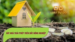 Xây Nhà Trái Phép Trên đất Nông Nghiệp Bị Xử Lý Như Thế Nào